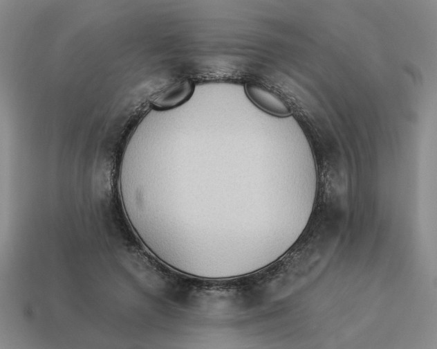 X0000114500546200911091112