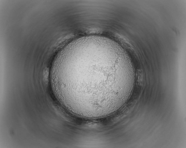 X0000114500550200911091112
