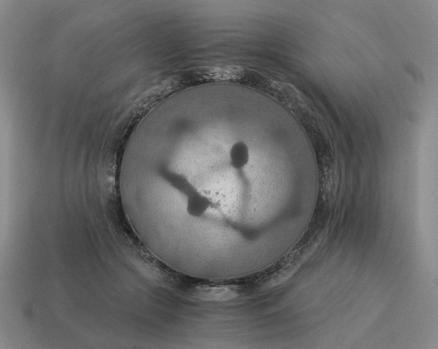 X0000114500553200911091112