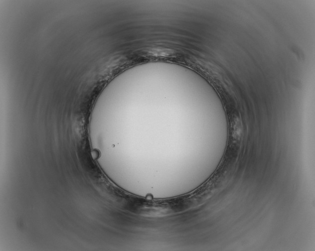 X0000114500559200911091112