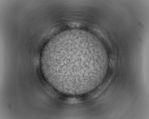 X0000114500561200911091112