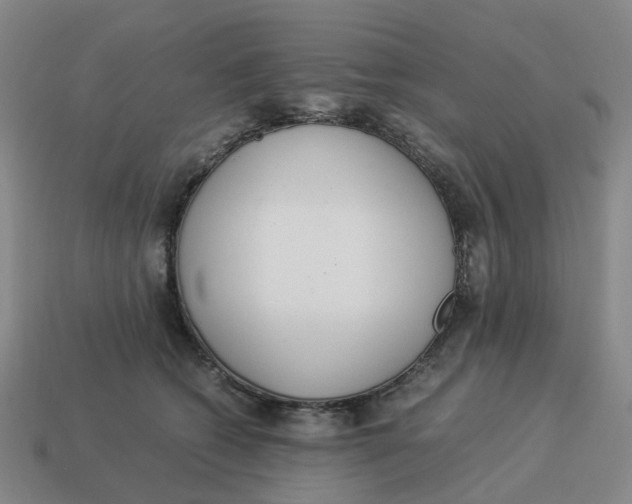 X0000114500562200911091112