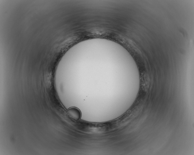 X0000114500563200911091112