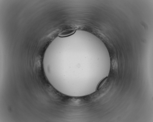 X0000114500570200911091112