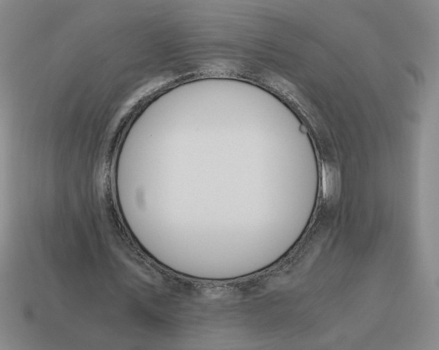 X0000114500579200911091111