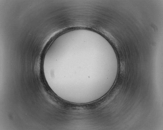 X0000114500580200911091111
