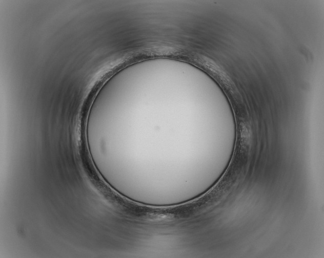 X0000114500582200911091111
