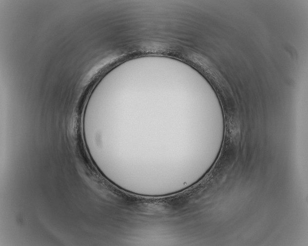 X0000114500583200911091111
