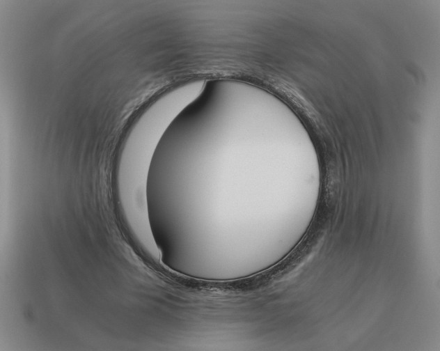 X0000114500585200911091111