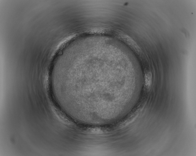 X0000114500588200911091111