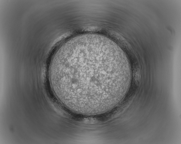 X0000114500591200911091111