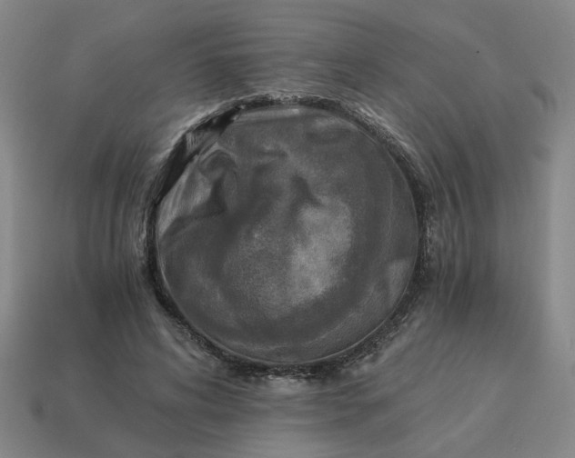 X0000114500592200911091111