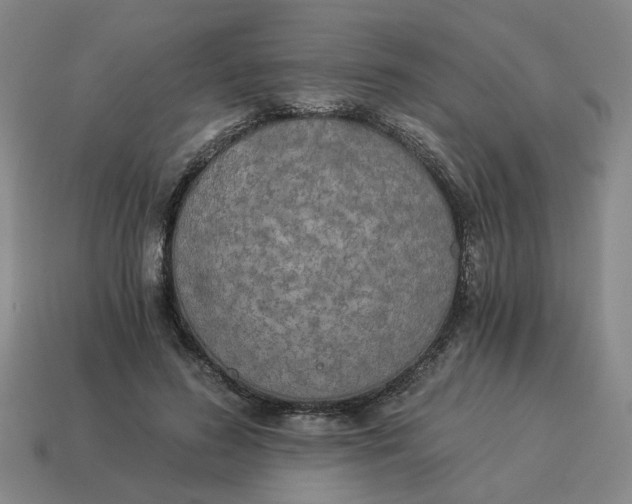 X0000114500596200911091111