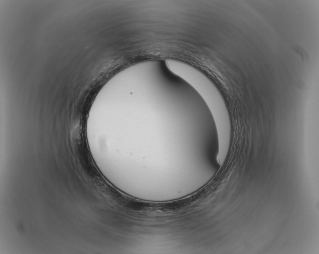 X0000114500597200911091111