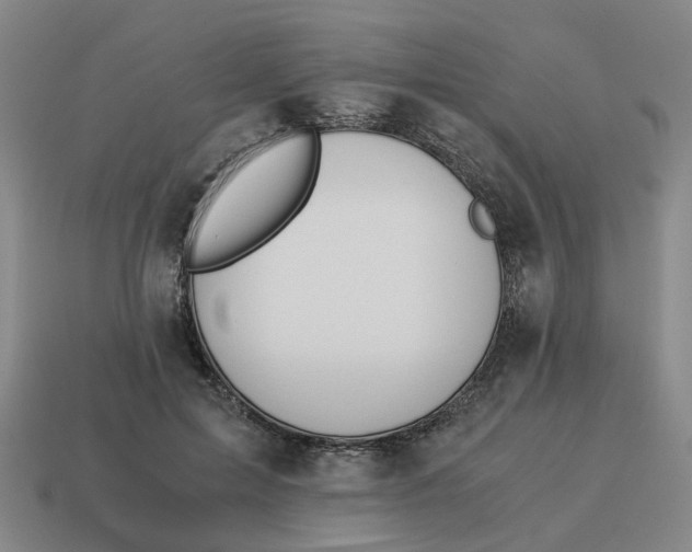 X0000114500599200911091111