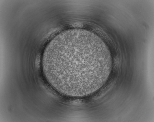 X0000114500600200911091111