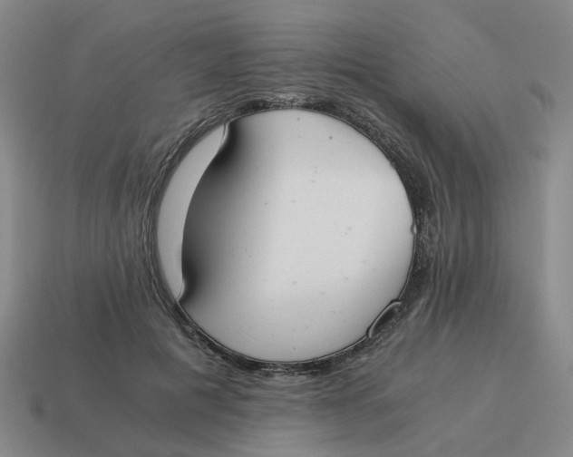 X0000114500601200911091111
