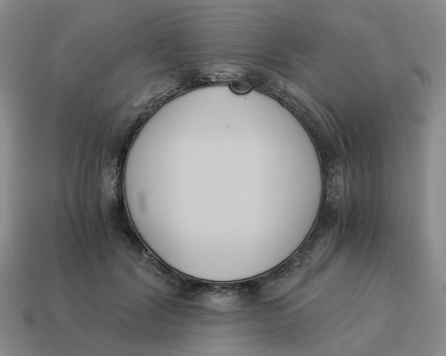 X0000114500604200911091111