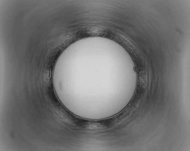 X0000114500605200911091111