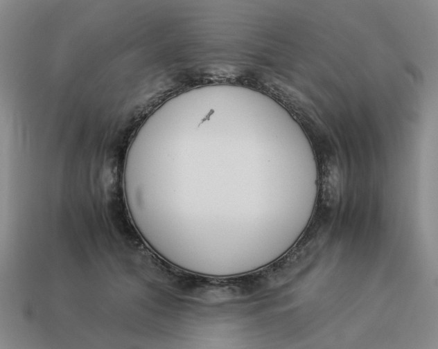 X0000114500608200911091111