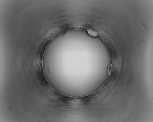 X0000114500609200911091111