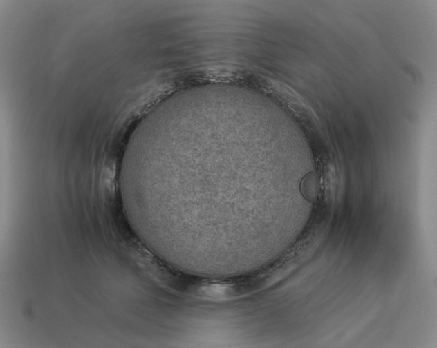 X0000114500610200911091111