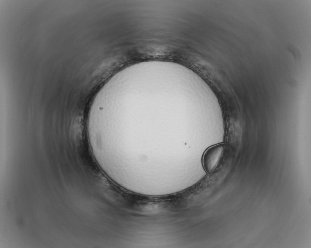 X0000114500612200911091111