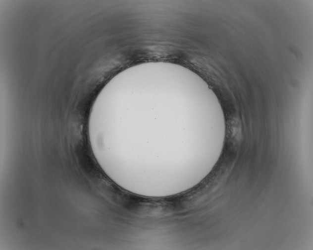 X0000114500615200911091111