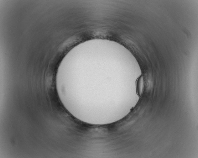 X0000114500619200911091111