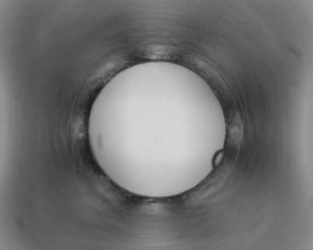 X0000114500620200911091111