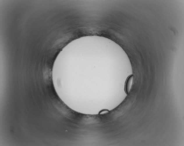 X0000114500624200911091111