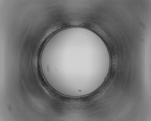 X0000114500626200911091110