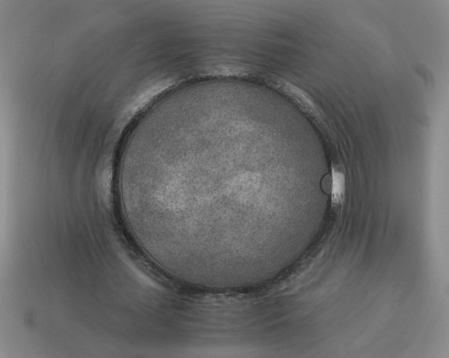 X0000114500627200911091110