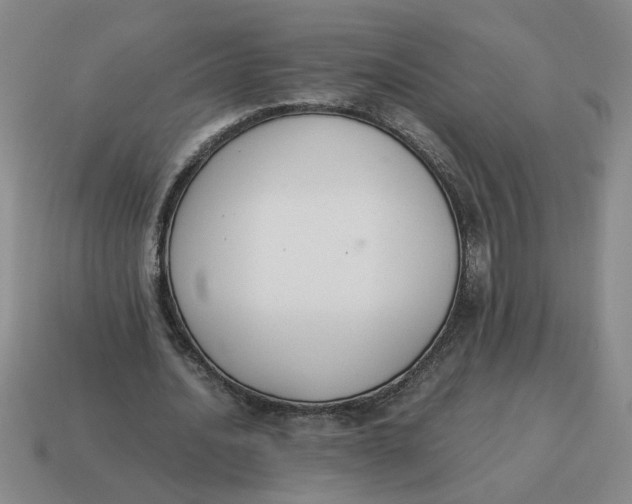 X0000114500628200911091110