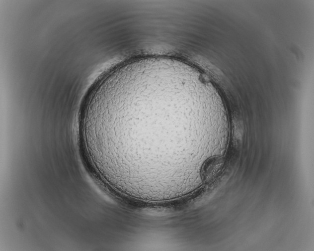 X0000114500630200911091110