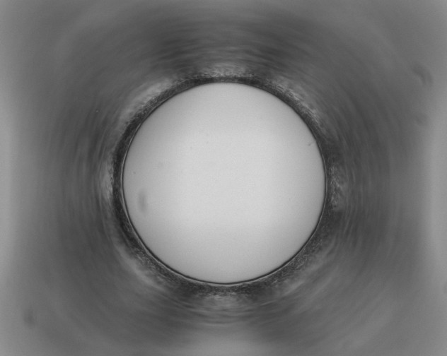 X0000114500631200911091110