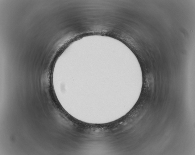 X0000114500632200911091110