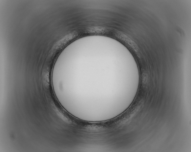 X0000114500633200911091110