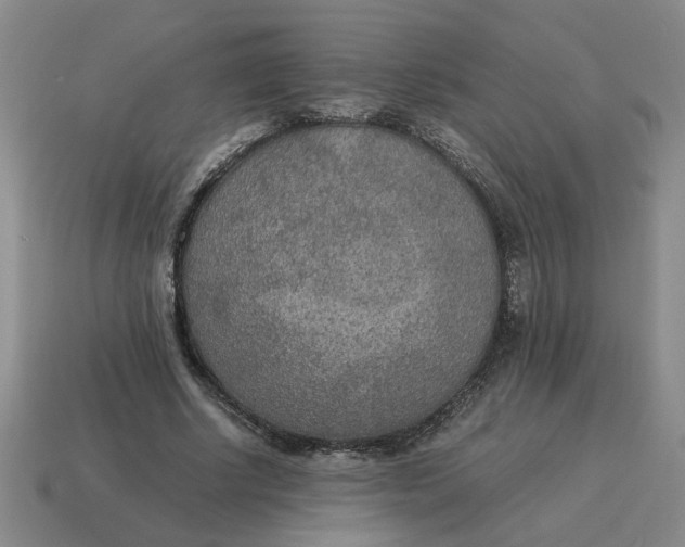 X0000114500634200911091110