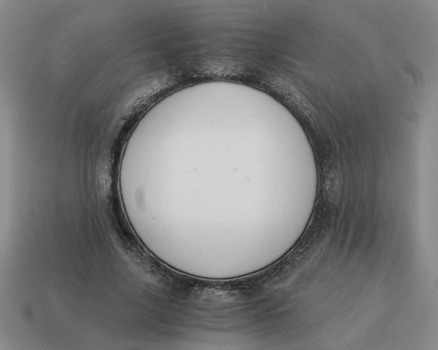 X0000114500635200911091110