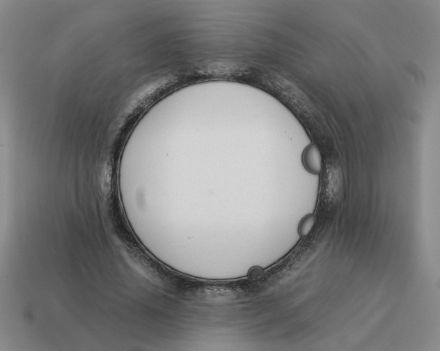 X0000114500636200911091110