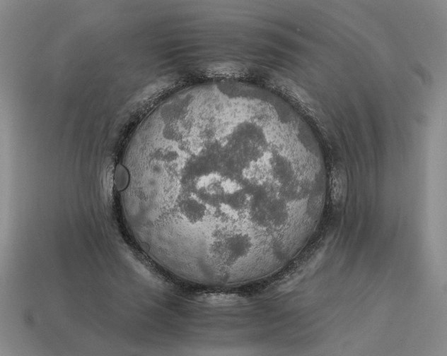 X0000114500637200911091110