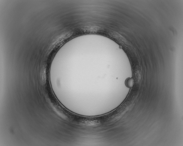 X0000114500638200911091110