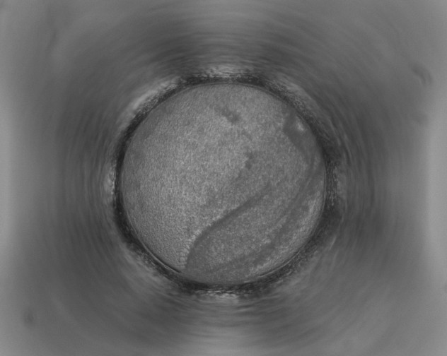 X0000114500640200911091110