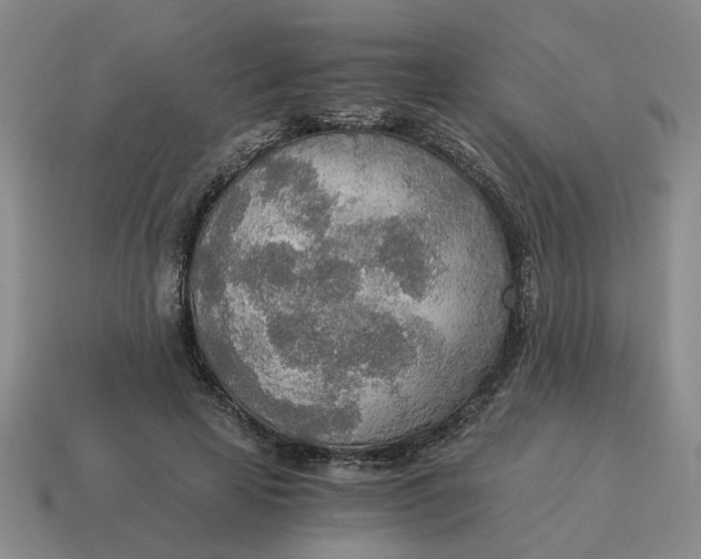 X0000114500641200911091110