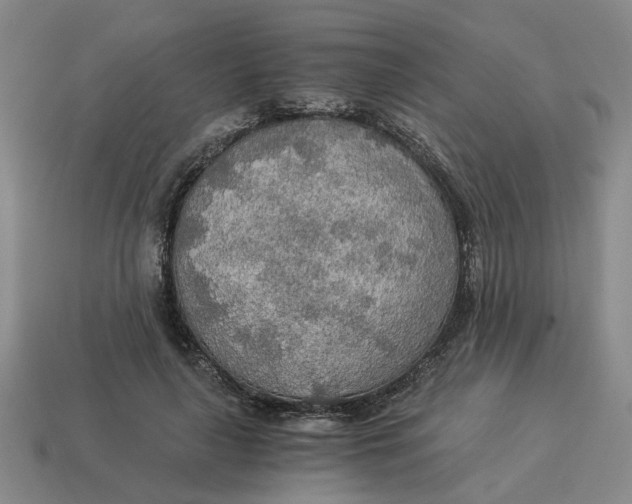 X0000114500643200911091110