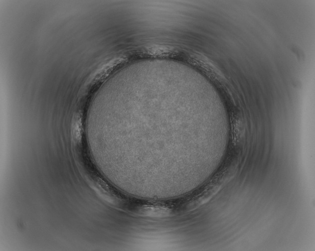 X0000114500644200911091110