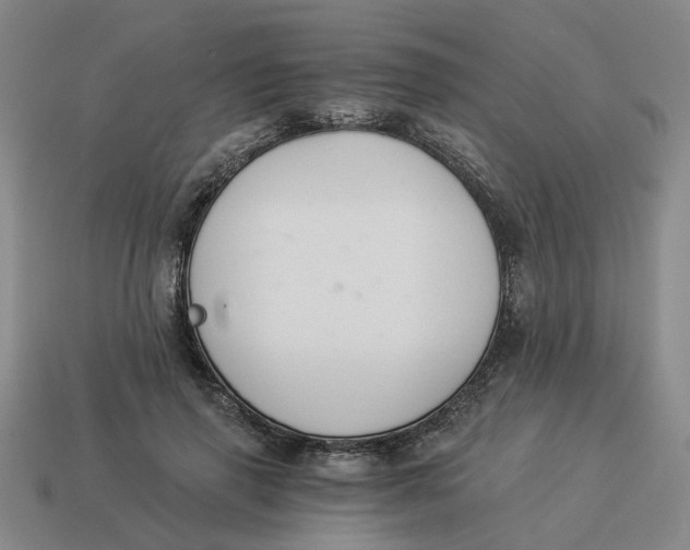 X0000114500645200911091110