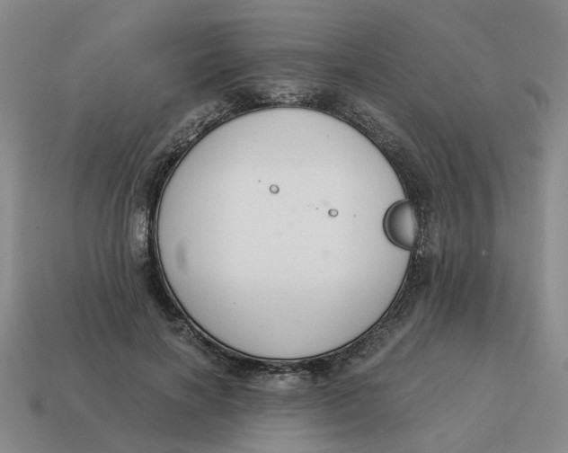 X0000114500646200911091110