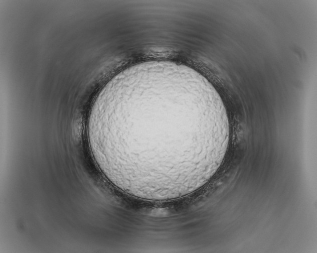 X0000114500647200911091110